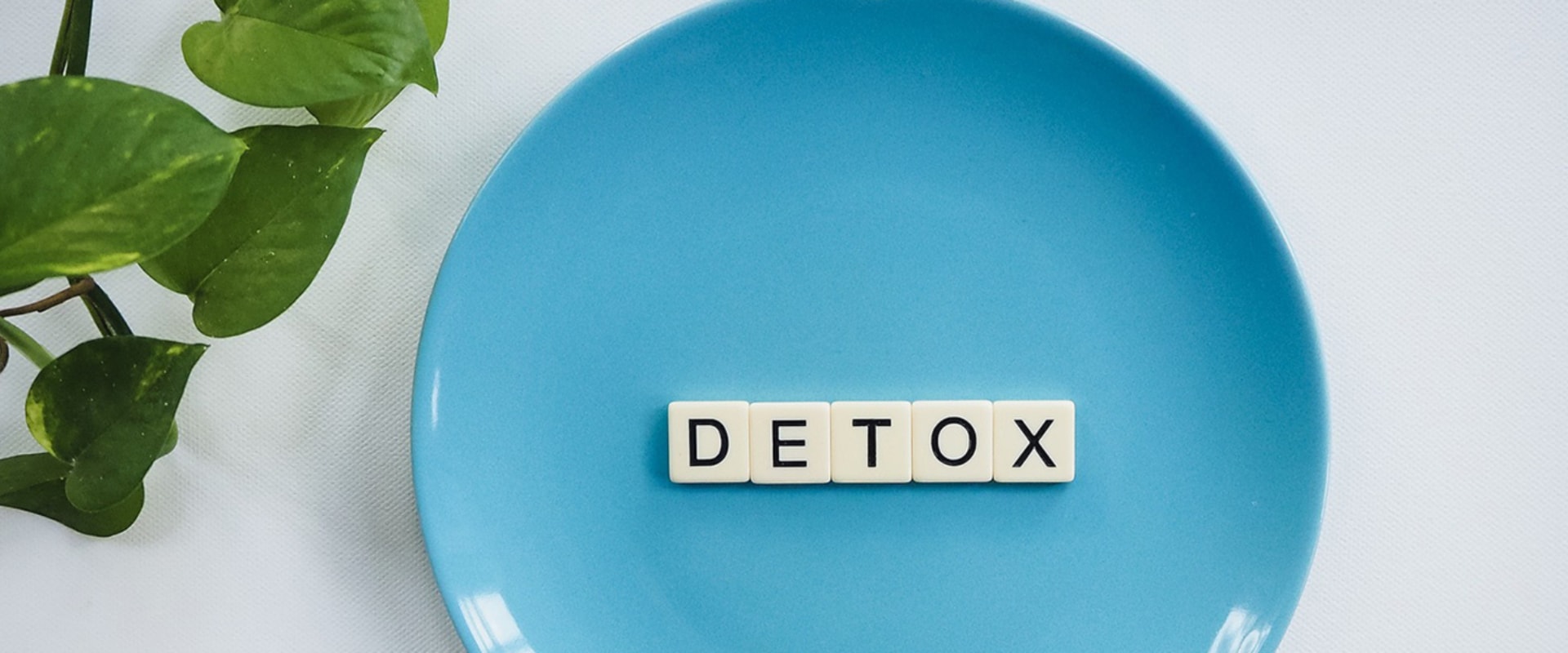 The Science Behind Detoxification and Detoxication